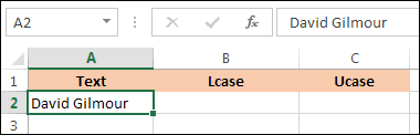 A spreadsheet with a name in cell A1