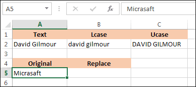 A spreadsheet with a misspelled word in cell A5